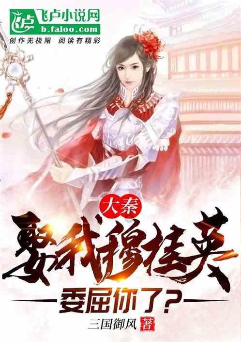 战斗机的反击
